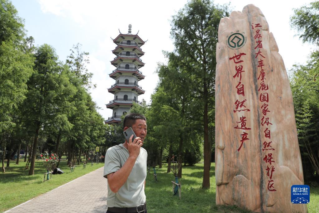 扎金花真欢乐